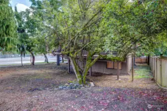 Looking from Holden to the house, this is a large side yard.