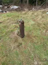 Well head