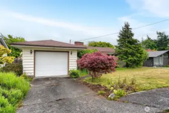 established landscaping, with lavender to the left and Japanese Maple in the front.  I think some kind of ornamental crab apple in front of the kitchen window.