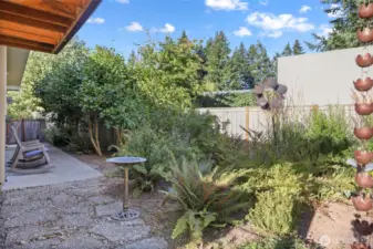 Mature foliage provides green views all year round.