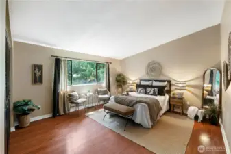Step into your Primary Oasis!  This is a large room, and the vaulted ceilings provide an even larger sense of space & openess