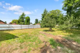 Look at the size of this back yard!