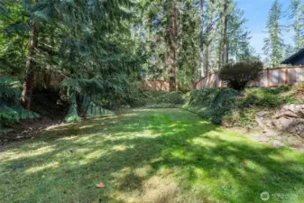 Backyard Lower area plumbed with water