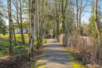 Miles of trails to walk