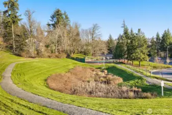 Tennis courts and pickleball courts