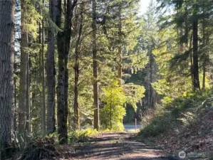 Improved road access into the property.
