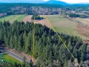 Approximately 1/2 mature forest with ~150,000 board ft of timber and the other 1/2 in pasture land. The best of both worlds !  View facing West.