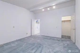 Primary bedroom with walk-in closet and private bathroom.