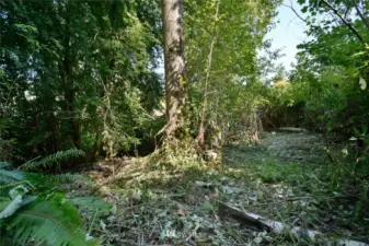 Trails accessible from SW part of property off of 231st ST SE.