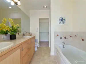 Master bath with shower and walk-in closet