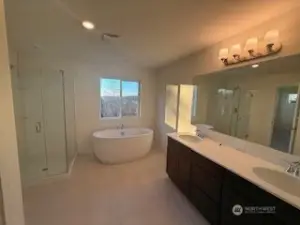 Deluxe primary bathroom, dual sink vanity, soaking tub
