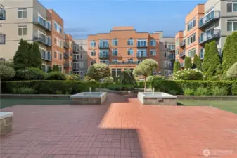 Garden between buildings