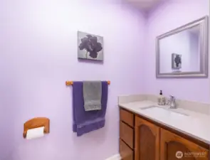 Guest 1/2 bath with quartz countertop. Conveniently located off utility room near garage.
