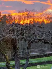 Stunning Sunset.