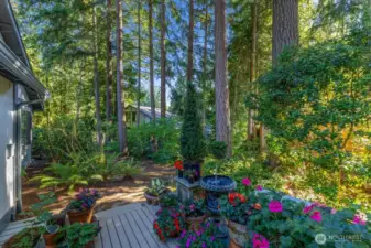 Back deck view - private and inviting!