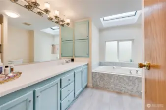 Master bathroom with soaking tub and skylights. Perfect at home spa!