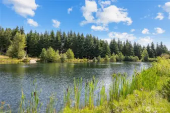 Lake frontage property!