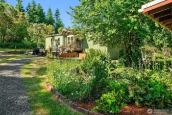 Nicely manicured beds and freshly graveled drive.