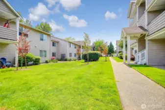 Huge open spaces to have a picnic or gathering outside
