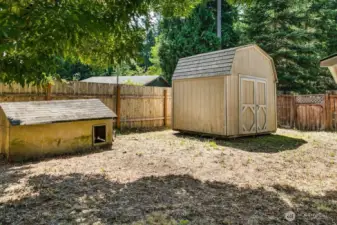 Chicken coop & garden shed.