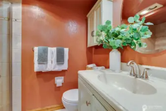 Downstairs guest bathroom
