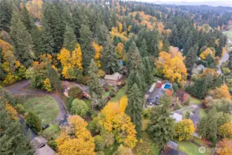 Private wooded lot with additional parking