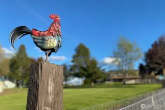 Come see why the Tipsy Rooster is such a charming property and let it steal your heart.