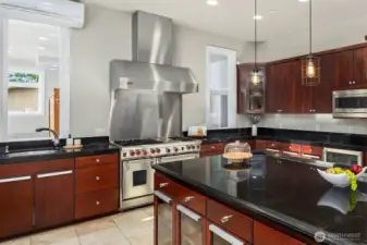 Wolf & Subzero appliances