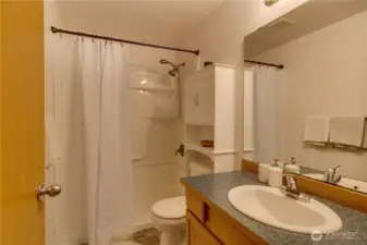 Hall bathroom with large shower.