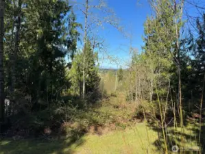 View from SE Corner of lot