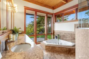 The Primary suite's spa-style bath has a tub for one or two, a shower just as large, double vanities, and is as well appointed as you would expect.
