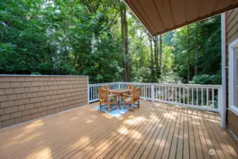 Large deck off the family room provides for entertaining or peaceful relaxation