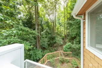 Backyard terrace for extra yardspace or gardens.