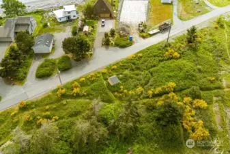 South Lagoon Point neighborhood, the perfect spot on the western shore of Whidbey Island.
