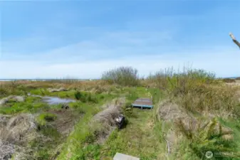 Trail to the beach