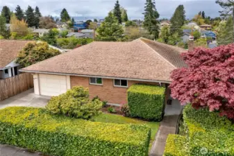 1950's Mid-Century Brink West Seattle Single Story w/Daylight Basement