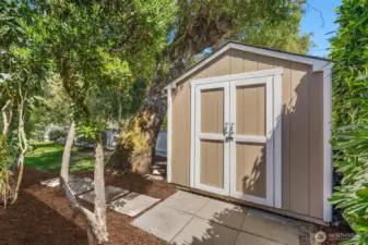 Garden shed for tools and storage