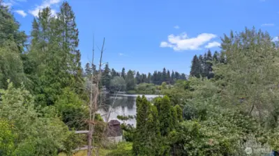 This is what you will see from the living room, bedroom and deck!