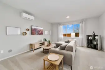 rec room in the daylight basement, TV will stay!