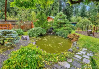 Landscaped Backyard With Pond Area And Toolshed In The Distant.