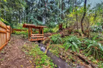 Another View Of The Lower Backyard Area. Truly One Of A Kind Setting.