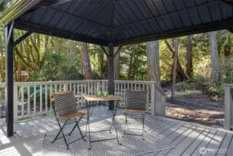 Primary Suite Outdoor Deck with Canopy