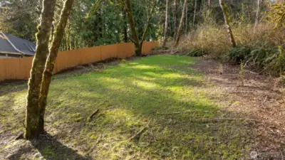 Views of the back of the property....your own park!