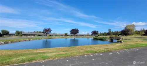 Community Pond w/fish and ducks