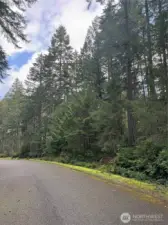 Looking North at Property