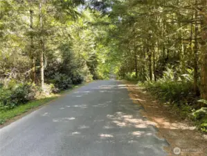 Looking east on Sleepy Hollow