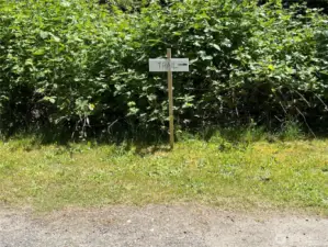 Walk down the driveway to the Lot C