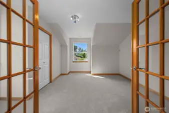 An upstairs guest room with multiple windows and an ample closet.