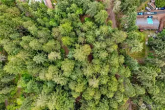 Lot 1 aerial