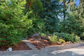 Front yard entry landscaping.